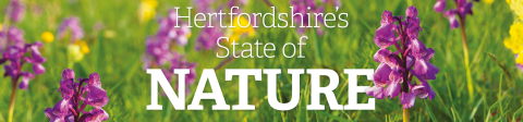 Hertfordshire's State of Nature 2020