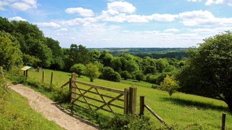 Aldbury Nowers