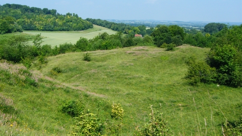 Hexton Chalk Pit Nature Reserve