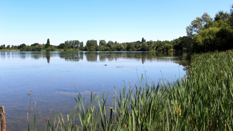 Hilfield Park Reservoir