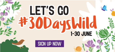 An illustrated banner with birds, butterflies and wildflowers on a beige background. The large text reads "LET'S GO #30DayWild", small text underneath reads "1-30 June" and purple button at the bottom reads "Sign up now"