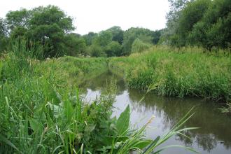 Cassiobury Park Local Nature Reserve