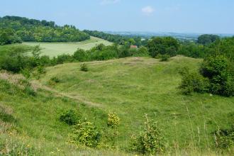 Hexton Chalk Pit Nature Reserve