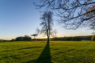 Cassiobury Park