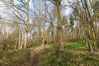 Astonbury Wood