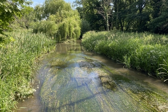 View from Water-crowfoot Bridge 