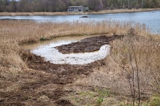 Excavations works at Amwell Nature Reserve 