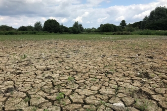 King's Meads Nature Reserve dried up in July 2019