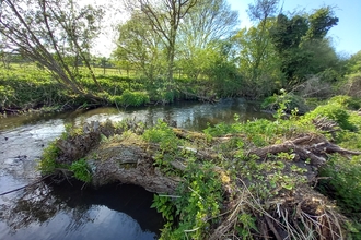 River Lea, Lemsford Springs Nature Reserve