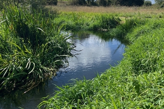 A view of a bend in the river Lea with lush green vegetation growing from its banks