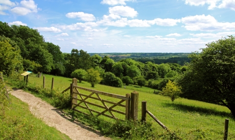 Aldbury Nowers