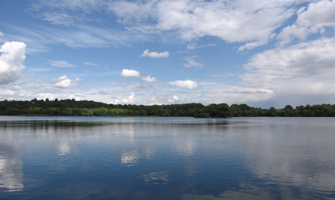 Expansive lake with trees on the horizon and blue skies