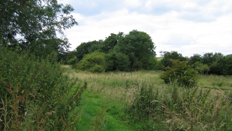 Blagrove Common Nature Reserve 