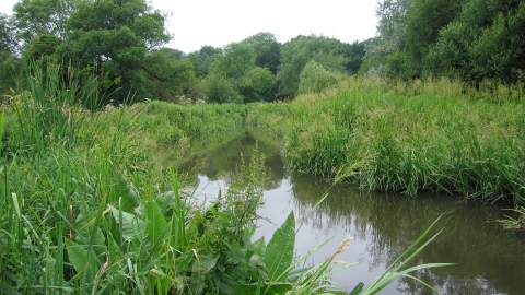 Cassiobury Park Local Nature Reserve