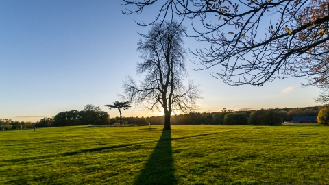 Cassiobury Park