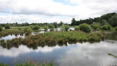 King's Meads | Herts and Middlesex Wildlife Trust