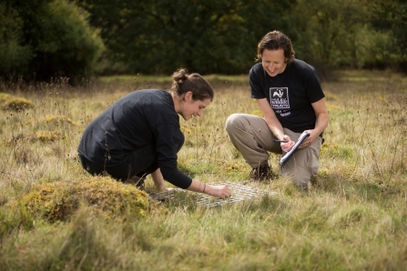 Nature Reserve Surveying