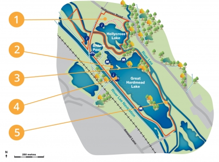 Amwell habitat creation project map