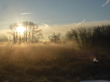 Thorley Wash