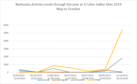 Nathusius' pipistrelle activity October 2019