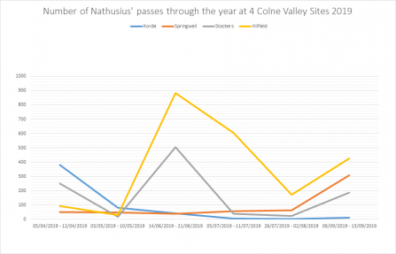 Nathusius' pipistrelle activity