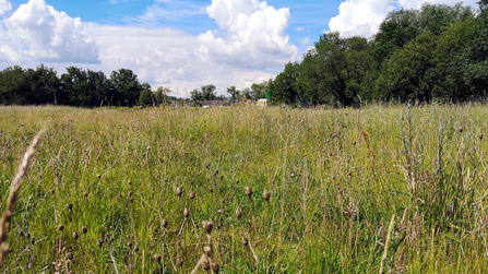 Maple Cross development site