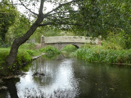 Archers Green bridge over the river mimran with a tree draping over the water's edge, nicely framed over the bridge