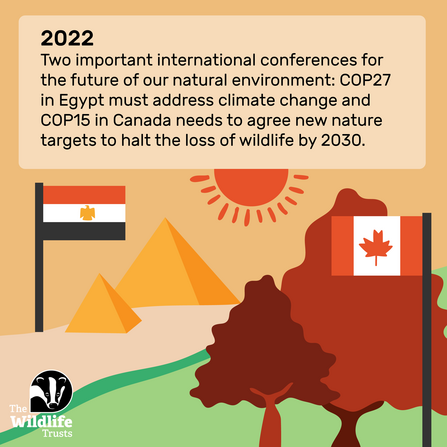 cop 2022