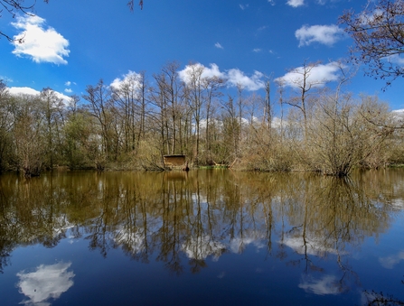 Blue sky and trees reflected in expanse of water at Stokers Lake