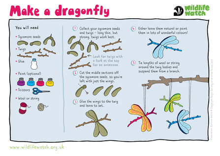 How to make a dragonfly