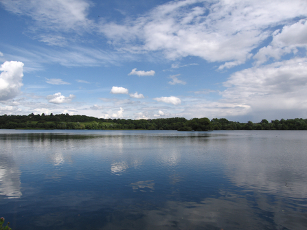 Broadwater Lake 