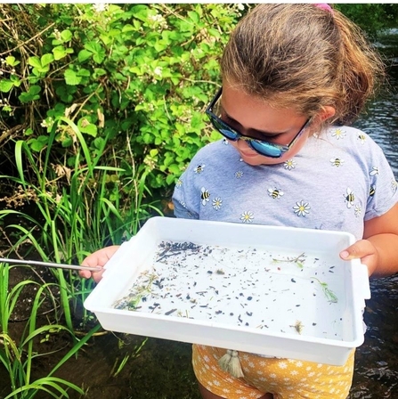 A young girl is standing next to a pond holding a white tray filled with pond water and creature that have been living within the pond.