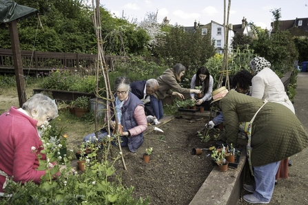 A group of women gathered around a raised bed are planting pollinator-friendly flowers to attract wildlife.