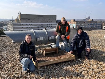 Peregrine nest tray on the roof of Watford Football Club's Stadium