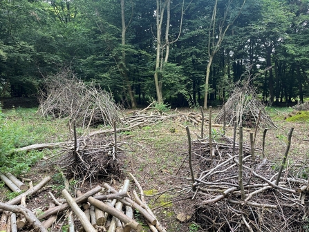 A photo of the piles of sticks placed around in a pyramid shape to protect the coppice stool (tree stump)beneath