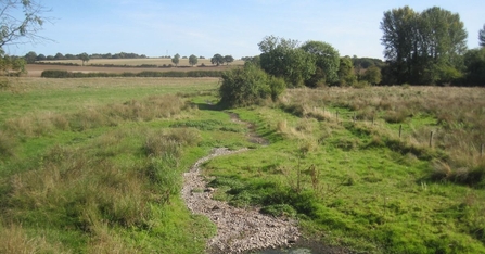 Dry River Ver in September 2019 (c) John Pritchard