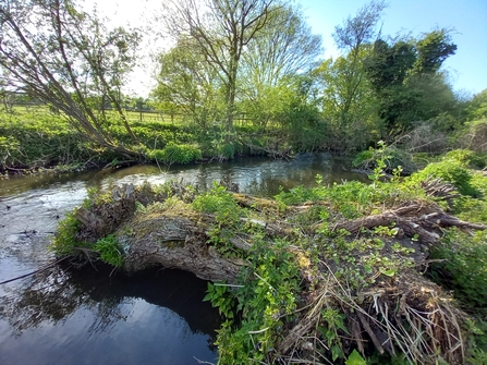 River Lea, Lemsford Springs Nature Reserve