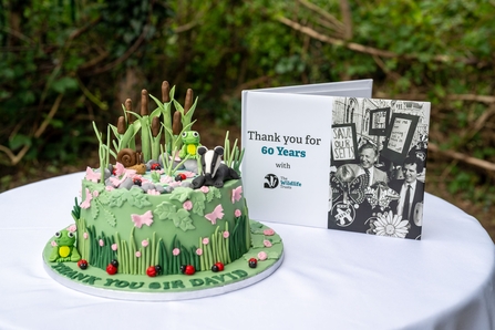 Sir David Attenborough Celebration Cake 