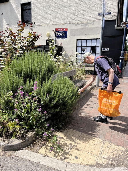 Barry Watson and re-planted area in 2024