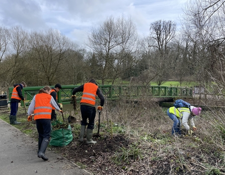 Youth volunteers tree planting on the River Colne