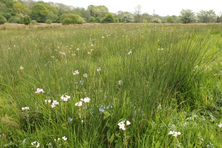 Blagrove Common