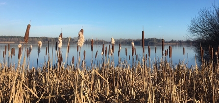 Hilfield Park Reservoir