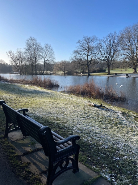 Verulamium Park, St Albans