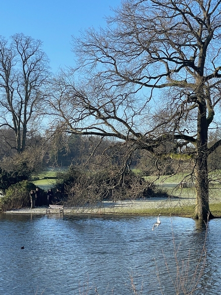 Bird watchers and photographers at Verulamium Park, St Albans 