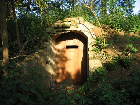 Panshanger Park's bat hibernaculum