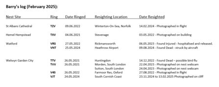 Barry's Peregrine log