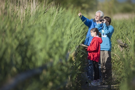 A father and two children standing between tall reeds on a boardwalk. The father is pointing something out to one of the children who is looking through binoculars.