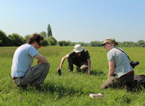 Surveying Hunsdon Meads